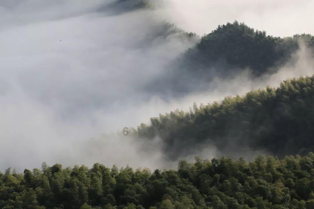 解答疑问轻松有外地车辆进京,办理完进京证可以进入吧?