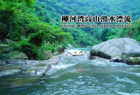 可爱猪救援2